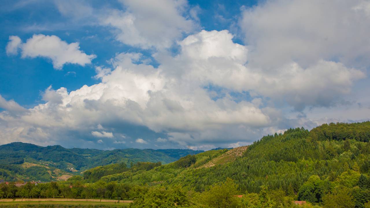 Blick auf den Schwarzwald